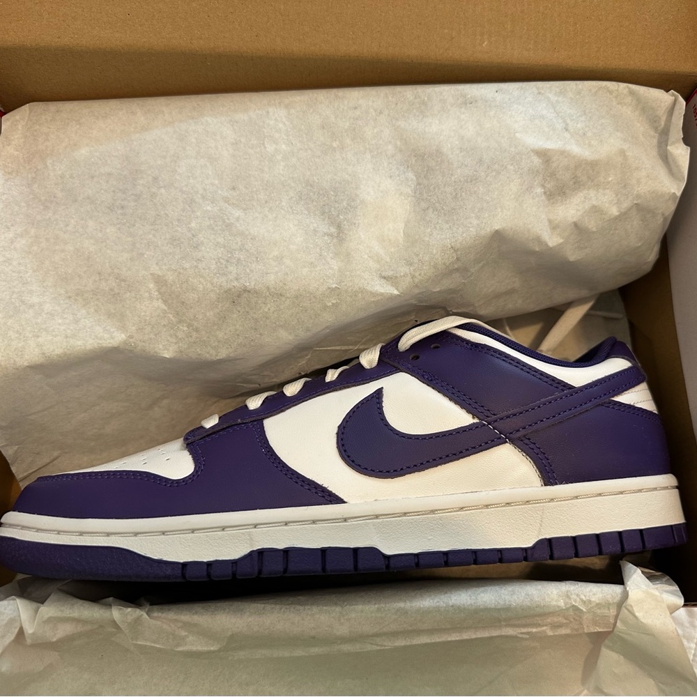 New never worn Nike Dunk Low Retro